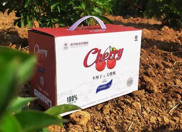 櫻桃、車(chē)?yán)遄佣Y盒